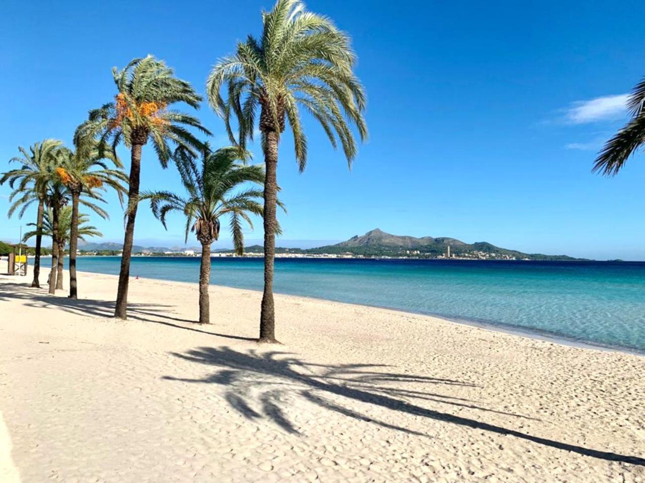 El Paraiso Alcudia  Dış mekan fotoğraf